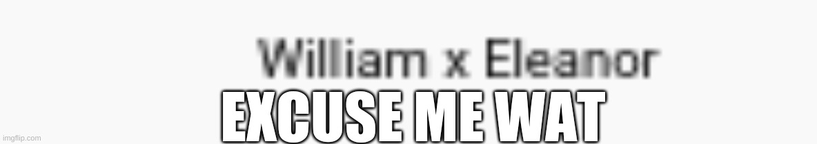 EXCUSE ME WAT | made w/ Imgflip meme maker