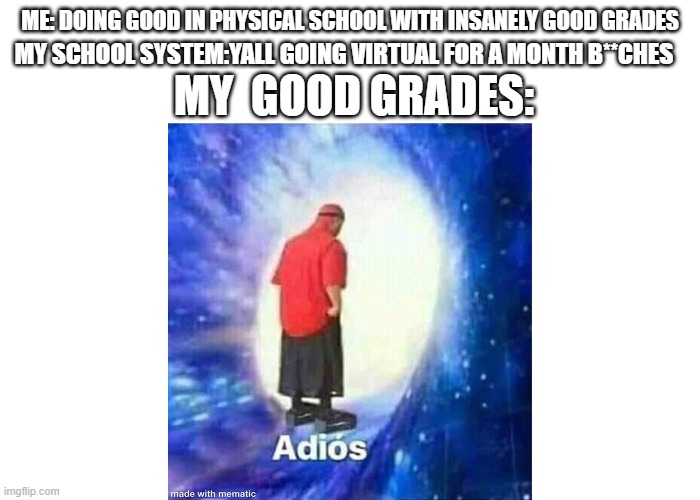 When you go virtual | MY SCHOOL SYSTEM:YALL GOING VIRTUAL FOR A MONTH B**CHES; ME: DOING GOOD IN PHYSICAL SCHOOL WITH INSANELY GOOD GRADES; MY  GOOD GRADES: | image tagged in text adios | made w/ Imgflip meme maker