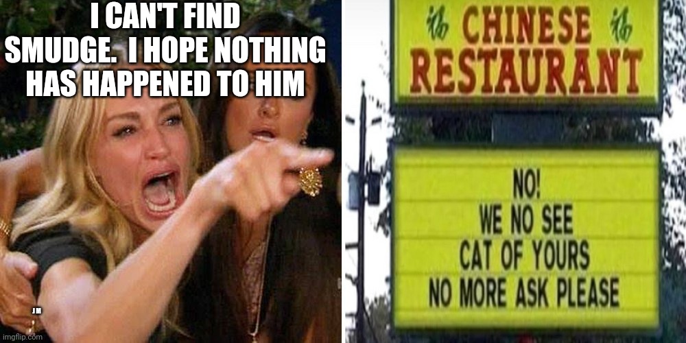 I CAN'T FIND SMUDGE.  I HOPE NOTHING HAS HAPPENED TO HIM; J M | image tagged in smudge the cat | made w/ Imgflip meme maker