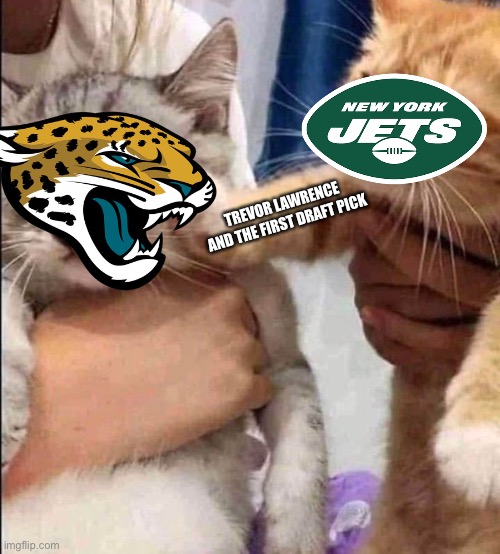 No horny cat | TREVOR LAWRENCE AND THE FIRST DRAFT PICK | image tagged in no horny cat | made w/ Imgflip meme maker