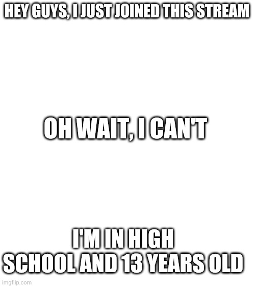 Sorry for rubbing it in | HEY GUYS, I JUST JOINED THIS STREAM; OH WAIT, I CAN'T; I'M IN HIGH SCHOOL AND 13 YEARS OLD | image tagged in blank white template | made w/ Imgflip meme maker