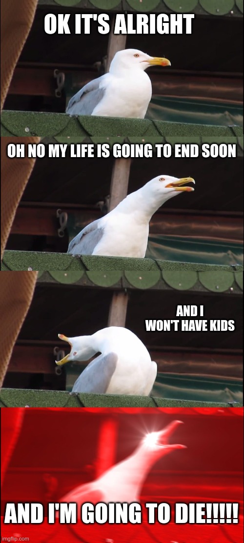 I'M GOING TO DIE!!!! | OK IT'S ALRIGHT; OH NO MY LIFE IS GOING TO END SOON; AND I WON'T HAVE KIDS; AND I'M GOING TO DIE!!!!! | image tagged in memes,inhaling seagull | made w/ Imgflip meme maker