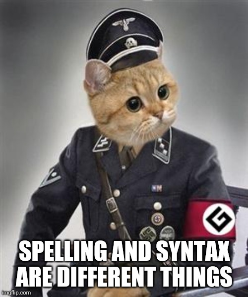Grammar Nazi Cat | SPELLING AND SYNTAX ARE DIFFERENT THINGS | image tagged in grammar nazi cat | made w/ Imgflip meme maker