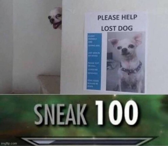 ??????? | image tagged in dog,sneak 100 | made w/ Imgflip meme maker