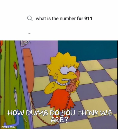 Idk | image tagged in how dumb do you think we are | made w/ Imgflip meme maker
