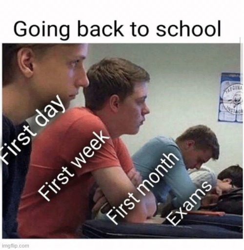 true | image tagged in lol,memes,funny,oof | made w/ Imgflip meme maker