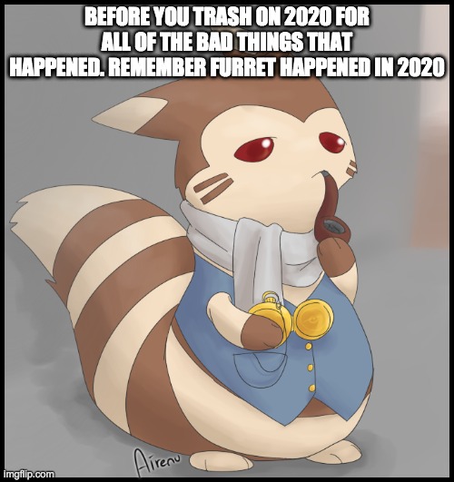 FURRET | BEFORE YOU TRASH ON 2020 FOR ALL OF THE BAD THINGS THAT HAPPENED. REMEMBER FURRET HAPPENED IN 2020 | image tagged in fancy furret | made w/ Imgflip meme maker