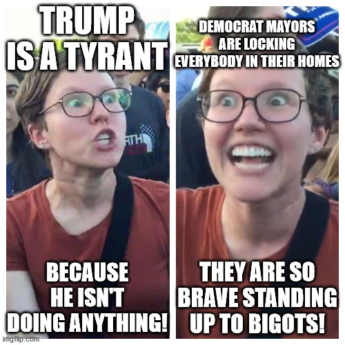 Social Justice Warrior Hypocrisy | DEMOCRAT MAYORS ARE LOCKING EVERYBODY IN THEIR HOMES; TRUMP IS A TYRANT; BECAUSE HE ISN'T DOING ANYTHING! THEY ARE SO BRAVE STANDING UP TO BIGOTS! | image tagged in social justice warrior hypocrisy,tyranny,democrats,lockdown,kung flu,liberal logic | made w/ Imgflip meme maker