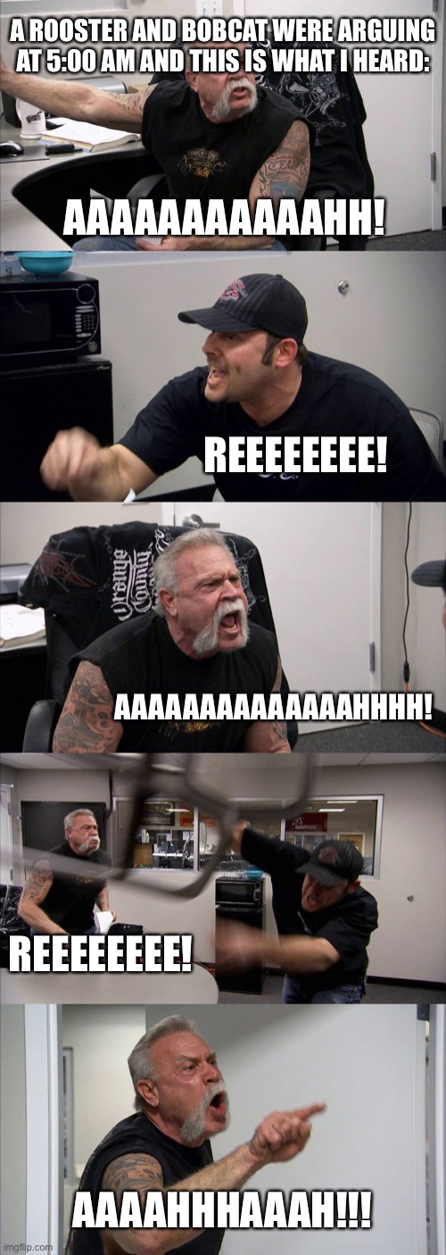 Who reported this? | A ROOSTER AND BOBCAT WERE ARGUING AT 5:00 AM AND THIS IS WHAT I HEARD:; AAAAAAAAAAAHH! REEEEEEEE! AAAAAAAAAAAAAAHHHH! REEEEEEEE! AAAAHHHAAAH!!! | image tagged in memes,american chopper argument | made w/ Imgflip meme maker