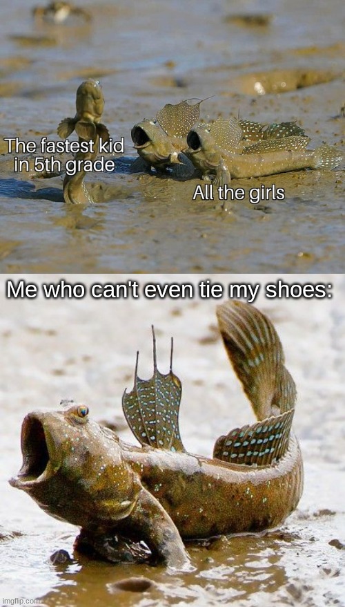 I invented a new template | Me who can't even tie my shoes: | image tagged in fish | made w/ Imgflip meme maker