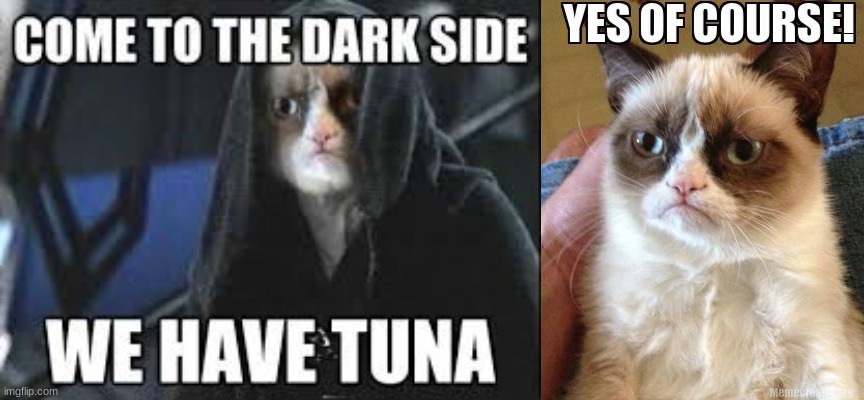 DON´T TEMPT ME! | image tagged in cat,cats,dark side,tuna | made w/ Imgflip meme maker