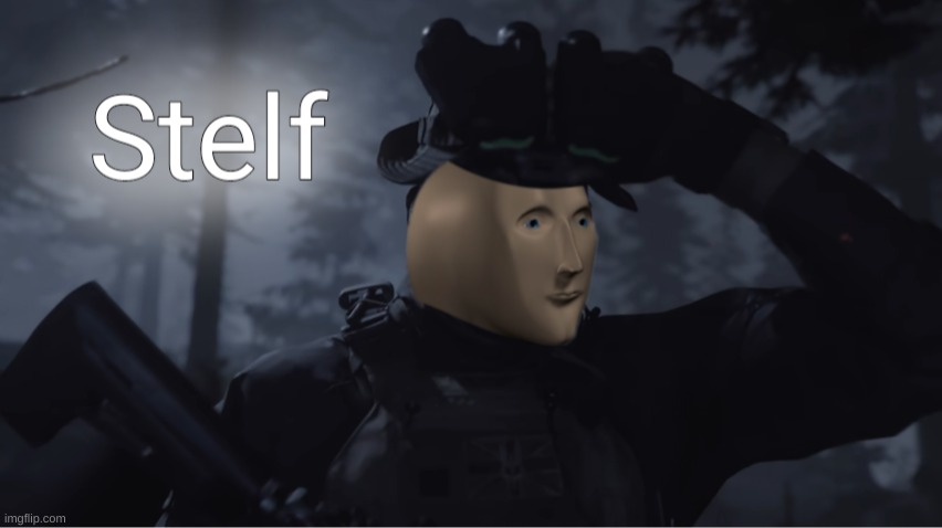 Stelth | image tagged in stelth | made w/ Imgflip meme maker