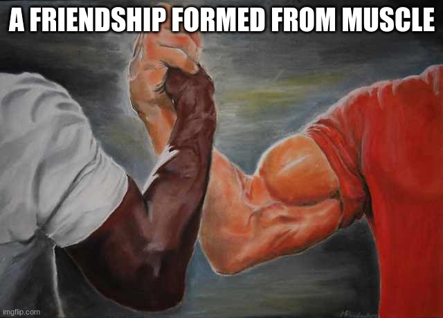 Arm wrestling meme template | A FRIENDSHIP FORMED FROM MUSCLE | image tagged in arm wrestling meme template | made w/ Imgflip meme maker
