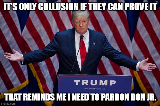 Props to Trump with colluding with Americans this time.

He's about to learn that it isn't so easy to bribe Americans. | IT'S ONLY COLLUSION IF THEY CAN PROVE IT THAT REMINDS ME I NEED TO PARDON DON JR. | image tagged in donald trump | made w/ Imgflip meme maker