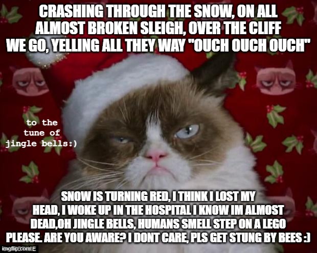 Jingle Bells, grumpy cat edition | CRASHING THROUGH THE SNOW, ON ALL ALMOST BROKEN SLEIGH, OVER THE CLIFF WE GO, YELLING ALL THEY WAY "OUCH OUCH OUCH"; to the tune of jingle bells:); SNOW IS TURNING RED, I THINK I LOST MY HEAD, I WOKE UP IN THE HOSPITAL I KNOW IM ALMOST DEAD,OH JINGLE BELLS, HUMANS SMELL STEP ON A LEGO PLEASE. ARE YOU AWARE? I DONT CARE, PLS GET STUNG BY BEES :) | image tagged in grumpy cat christmas | made w/ Imgflip meme maker