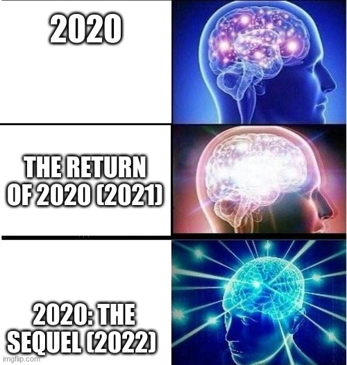 wow you read title! thnks!!! | 2020; THE RETURN OF 2020 (2021); 2020: THE SEQUEL (2022) | image tagged in expanding brain 3 panels | made w/ Imgflip meme maker