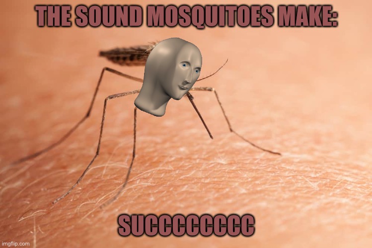 True tho | THE SOUND MOSQUITOES MAKE:; SUCCCCCCCC | image tagged in lol,meme man | made w/ Imgflip meme maker