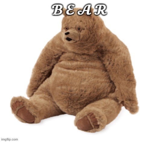 Bear (orginal) | image tagged in bear | made w/ Imgflip meme maker