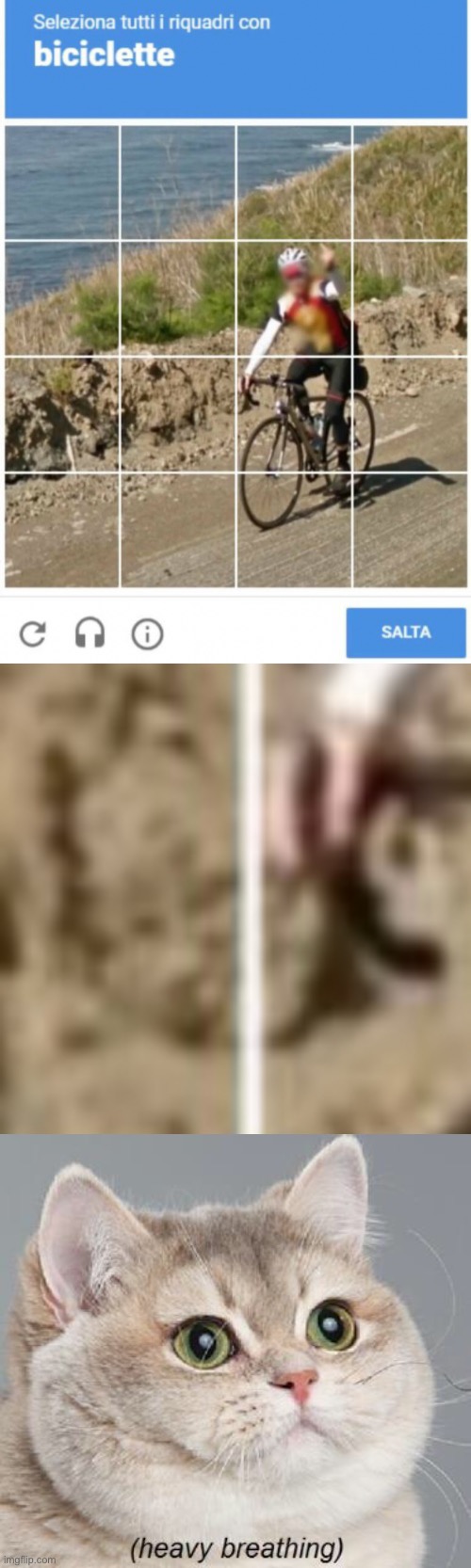 Sure | image tagged in memes,heavy breathing cat | made w/ Imgflip meme maker