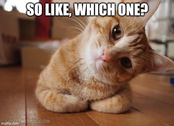 Curious Question Cat | SO LIKE, WHICH ONE? | image tagged in curious question cat | made w/ Imgflip meme maker