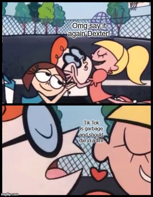 Dexter is right though | Omg say it again Dexter! Tik Tok is garbage and should die in a fire | image tagged in memes,say it again dexter,tik tok sucks | made w/ Imgflip meme maker