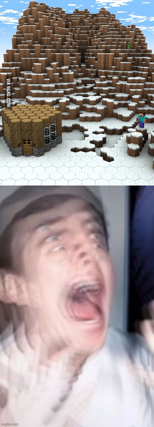 Minceraft is cursed | image tagged in freaking out | made w/ Imgflip meme maker