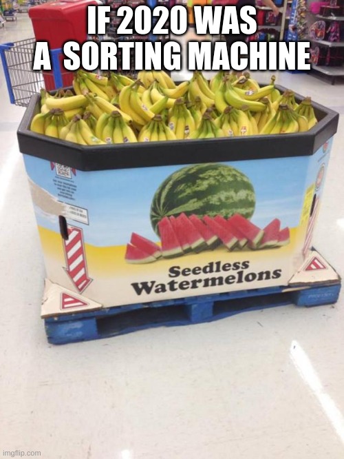 YOU HAD ONE JOB | IF 2020 WAS A  SORTING MACHINE | image tagged in you had one job | made w/ Imgflip meme maker