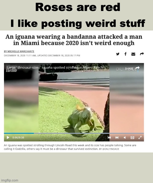 I'm sorry, what? | Roses are red; I like posting weird stuff | image tagged in 2020,weird stuff | made w/ Imgflip meme maker