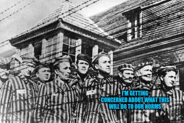concentration camp | I'M GETTING CONCERNED ABOUT WHAT THIS WILL DO TO OUR NORMS | image tagged in concentration camp,democratic party,establishment,mainstream media | made w/ Imgflip meme maker