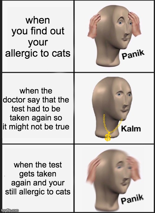 allergy test | when you find out your allergic to cats; when the doctor say that the test had to be taken again so it might not be true; when the test gets taken again and your still allergic to cats | image tagged in memes,panik kalm panik | made w/ Imgflip meme maker