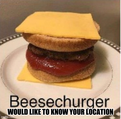 Beesechurger | WOULD LIKE TO KNOW YOUR LOCATION | image tagged in beesechurger | made w/ Imgflip meme maker