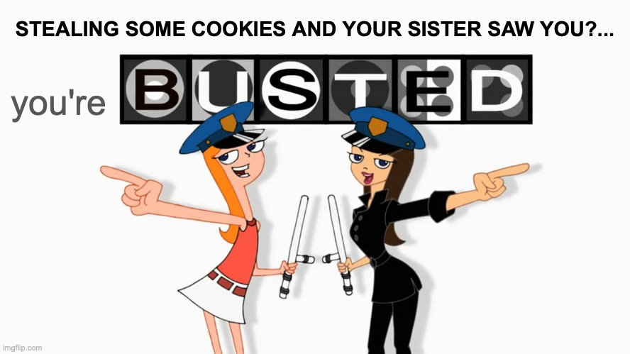 SOME COOKIES AND YOUR SISTER SAW YOU?... you're image tagged in you go...