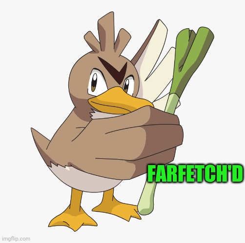 Since you like to worship N i present do you: | FARFETCH'D | image tagged in memes,funny,pokemon,farfetch'd | made w/ Imgflip meme maker
