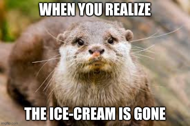 Ice-Cream Is GOne! | WHEN YOU REALIZE; THE ICE-CREAM IS GONE | image tagged in ice cream | made w/ Imgflip meme maker