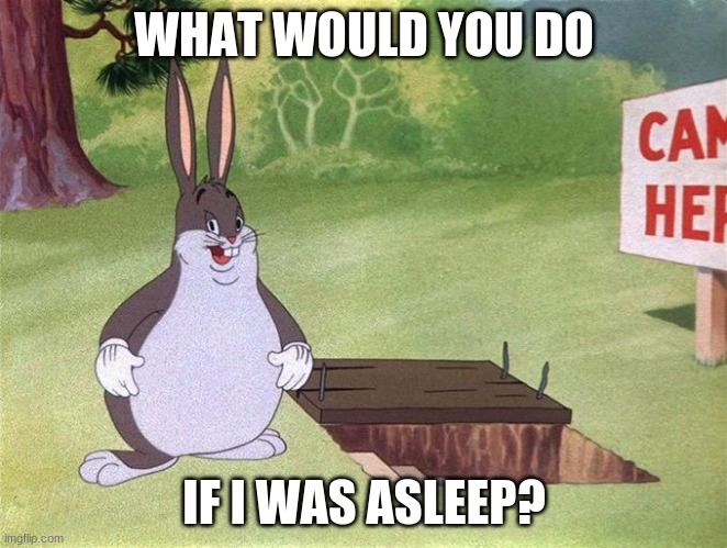 Big Chungus | WHAT WOULD YOU DO; IF I WAS ASLEEP? | image tagged in big chungus | made w/ Imgflip meme maker