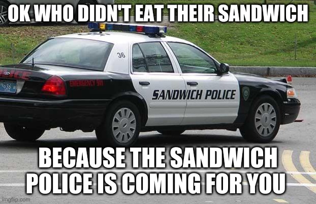 Sandwich Police | OK WHO DIDN'T EAT THEIR SANDWICH; BECAUSE THE SANDWICH POLICE IS COMING FOR YOU | image tagged in sandwich police | made w/ Imgflip meme maker