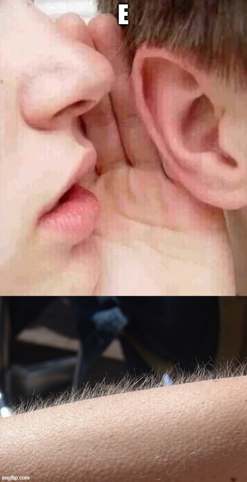 whisper in ear goosebumps | E | image tagged in whisper in ear goosebumps | made w/ Imgflip meme maker