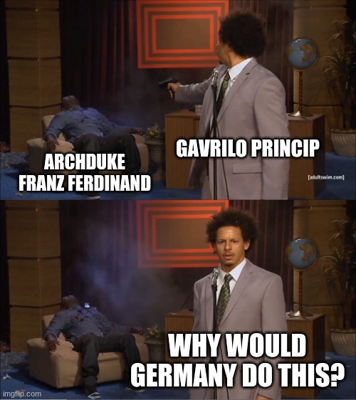 Who Killed Hannibal Meme | GAVRILO PRINCIP; ARCHDUKE FRANZ FERDINAND; WHY WOULD GERMANY DO THIS? | image tagged in memes,who killed hannibal | made w/ Imgflip meme maker