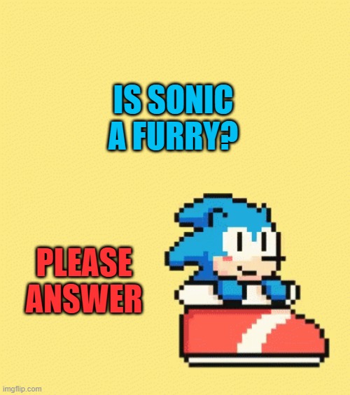 wot? | IS SONIC A FURRY? PLEASE ANSWER | image tagged in sonic | made w/ Imgflip meme maker