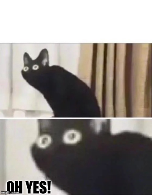 Oh No Black Cat | OH YES! | image tagged in oh no black cat | made w/ Imgflip meme maker