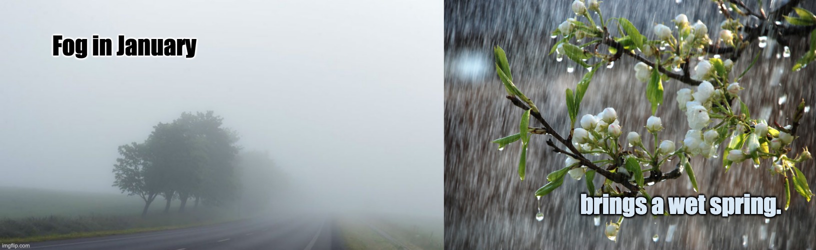 Fog in January; brings a wet spring. | image tagged in fog,rain,lore | made w/ Imgflip meme maker