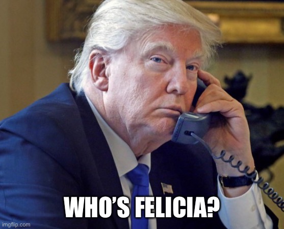 Bye, Felicia! | WHO’S FELICIA? | image tagged in bye felicia,donald trump,loser,con man,election 2020,trump for prison 2021 | made w/ Imgflip meme maker