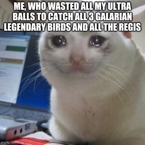 Crying cat | ME, WHO WASTED ALL MY ULTRA BALLS TO CATCH ALL 3 GALARIAN LEGENDARY BIRDS AND ALL THE REGIS | image tagged in crying cat | made w/ Imgflip meme maker