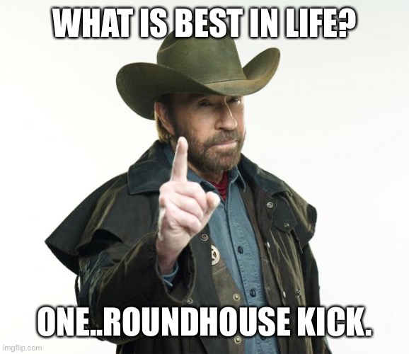 Chuck Norris Finger Meme | WHAT IS BEST IN LIFE? ONE..ROUNDHOUSE KICK. | image tagged in memes,chuck norris finger,chuck norris | made w/ Imgflip meme maker
