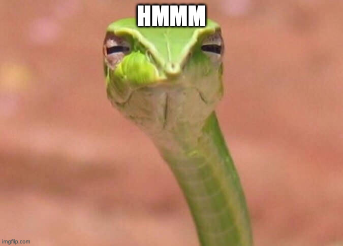 Skeptical snake | HMMM | image tagged in skeptical snake | made w/ Imgflip meme maker