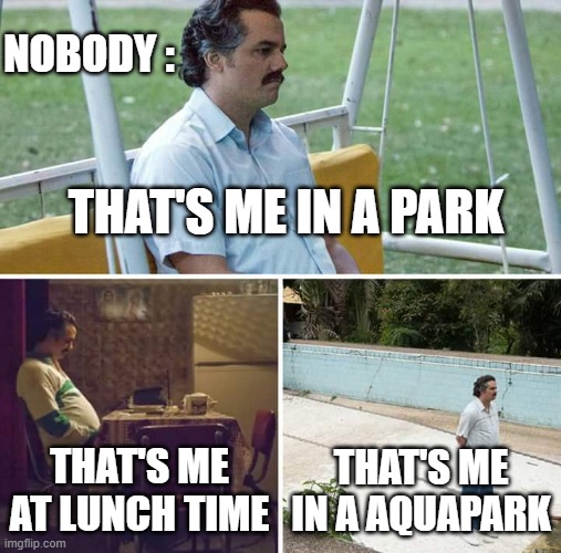 Sad Pablo Escobar | NOBODY :; THAT'S ME IN A PARK; THAT'S ME AT LUNCH TIME; THAT'S ME IN A AQUAPARK | image tagged in memes,sad pablo escobar | made w/ Imgflip meme maker
