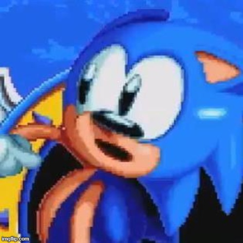 sonic the wuthog | image tagged in sonic the wuthog | made w/ Imgflip meme maker