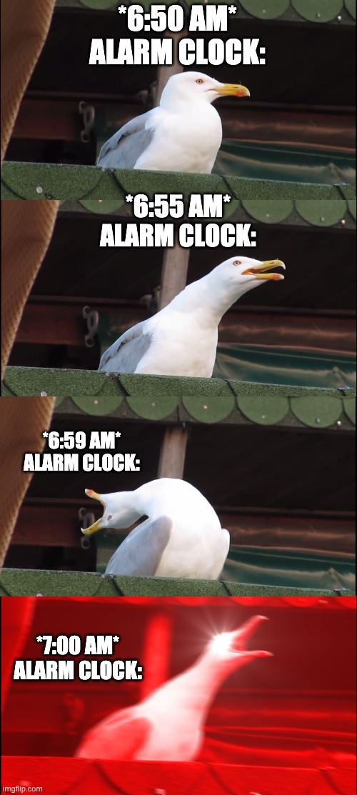 Inhaling Seagull Meme | *6:50 AM*
ALARM CLOCK:; *6:55 AM*
ALARM CLOCK:; *6:59 AM*
ALARM CLOCK:; *7:00 AM*
ALARM CLOCK: | image tagged in memes,inhaling seagull | made w/ Imgflip meme maker