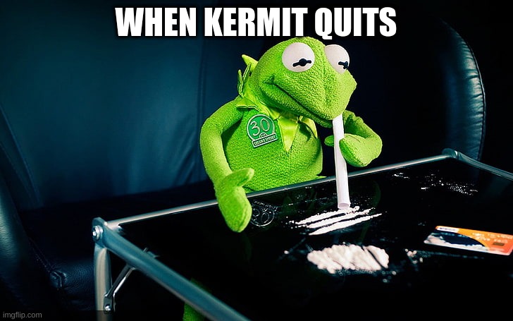 quitting life | WHEN KERMIT QUITS | image tagged in thug life | made w/ Imgflip meme maker
