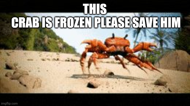 #ALLHAILCRABS (2 points) | THIS

 CRAB IS FROZEN PLEASE SAVE HIM | image tagged in crab rave gif | made w/ Imgflip meme maker